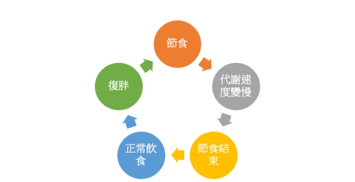 【溜溜球效應】完整解析：意思、成因與如何避免溜溜球飲食的終極指南 post thumbnail image