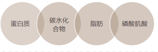 熱量消耗