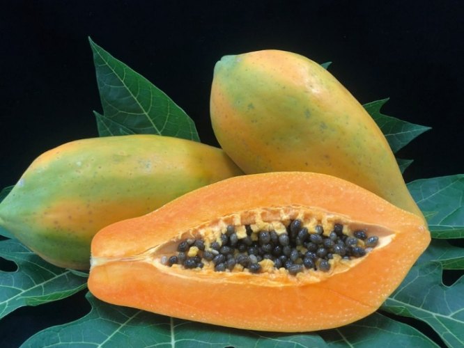 木瓜減肥食譜