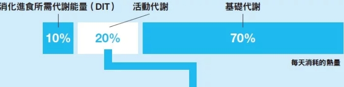熱量消耗表