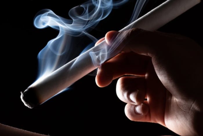 艾灸減肥作用機制 艾灸減肥作用機制