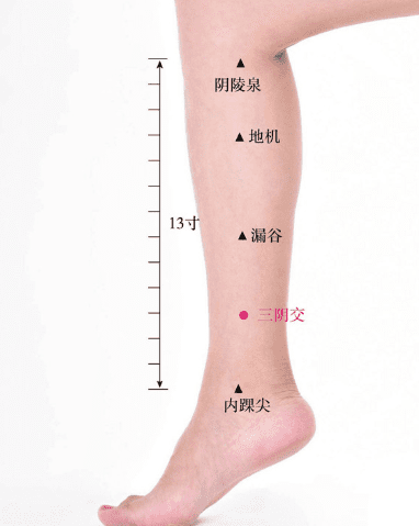 艾灸減肥的具體實施方案