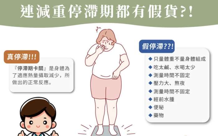 減肥停滯期原因