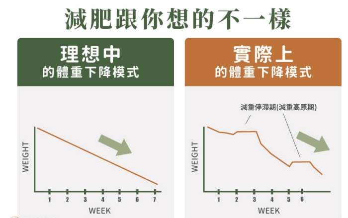 減肥停滯期多久
