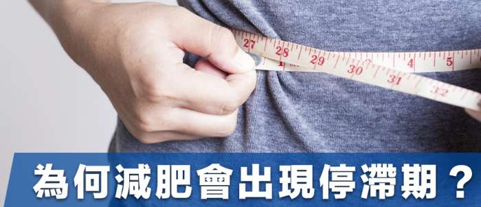 減肥停滯期